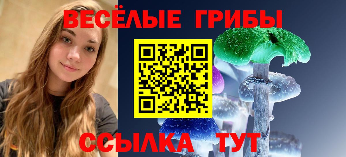 Галлюциногенные грибы ЛСД Удомля